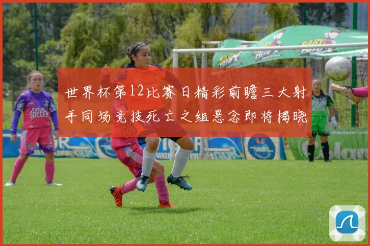 世界杯第12比赛日精彩前瞻三大射手同场竞技死亡之组悬念即将揭晓