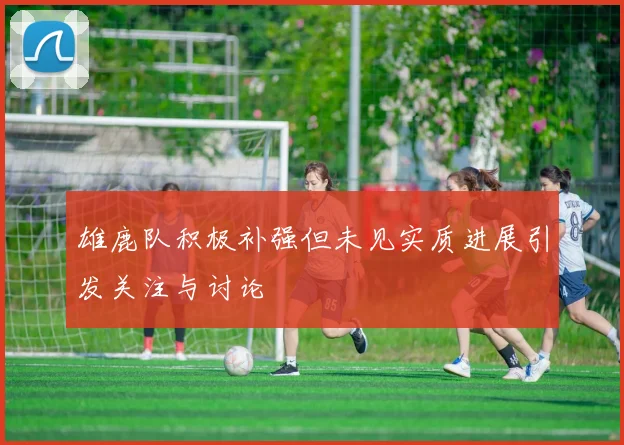 雄鹿队积极补强但未见实质进展引发关注与讨论