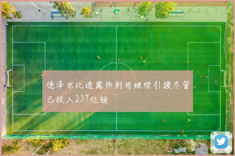 德泽尔比透露热刺将继续引援尽管已投入237亿镑