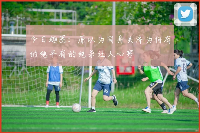 今日趣图：原以为同舟共济为何有的绝平有的绝杀让人心寒
